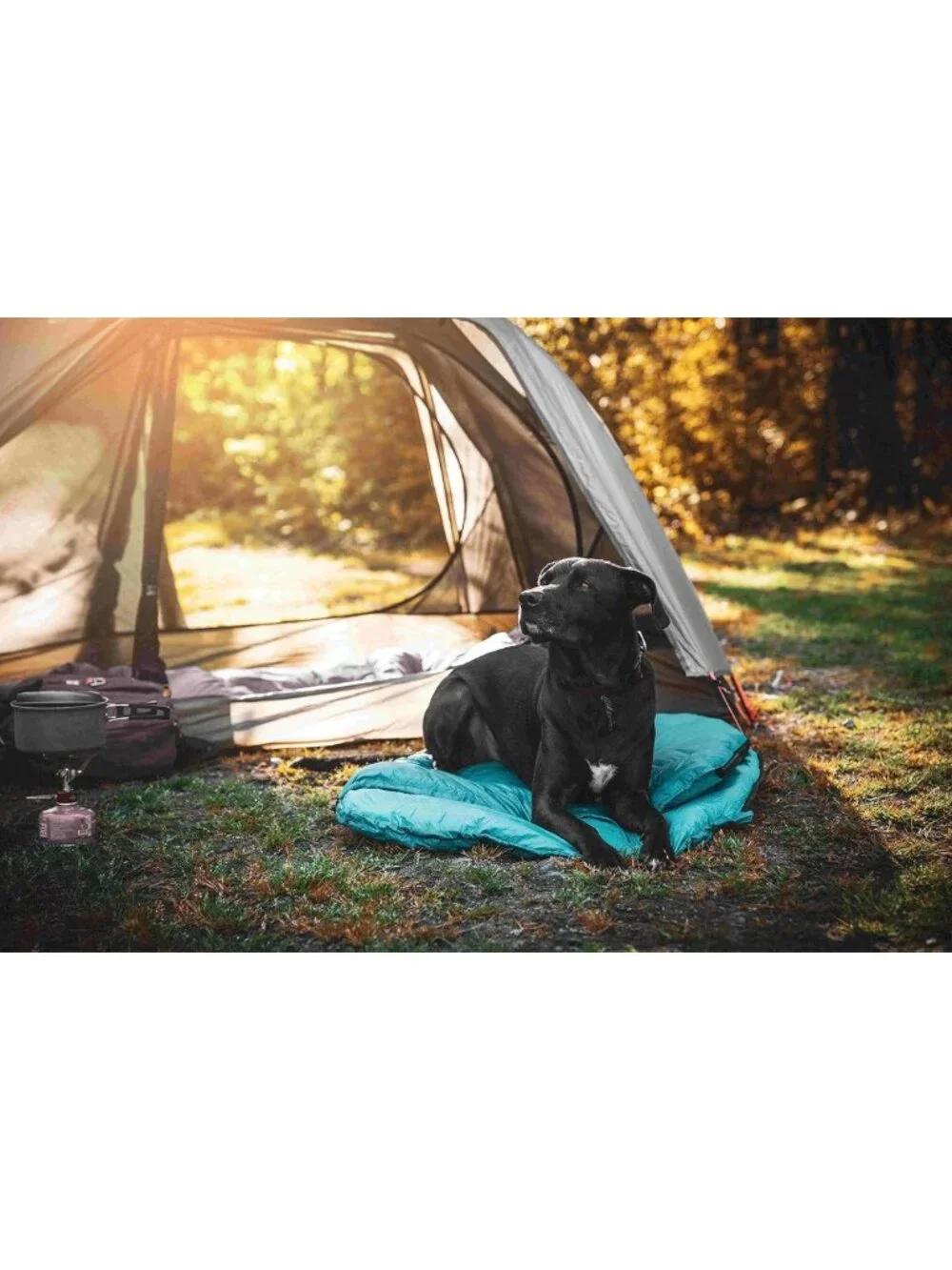 Ultralight Glacial Blue Dog Sleeping Bag & Packable Bed for Hiking & Camping